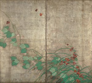 Plantas de flores de verano y otoño